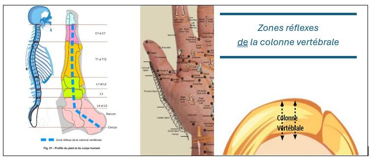 etoile-resilience-masssage-metamorphique