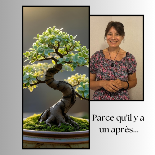 L'Etoile de la Résilience dans la Drôme